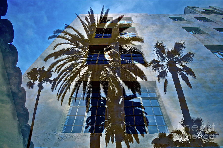 Architecture Mixed Media - Palm Mural by Gwyn Newcombe