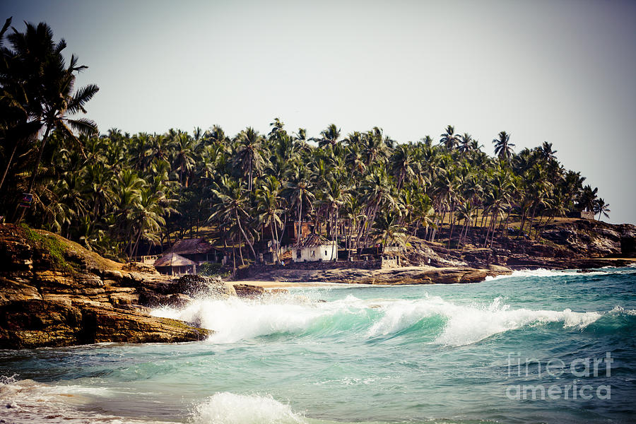 Palm on coast and big wave and Rocky cliffs on the coast of the Indian ocean Kerala India Photograph by Raimond Klavins