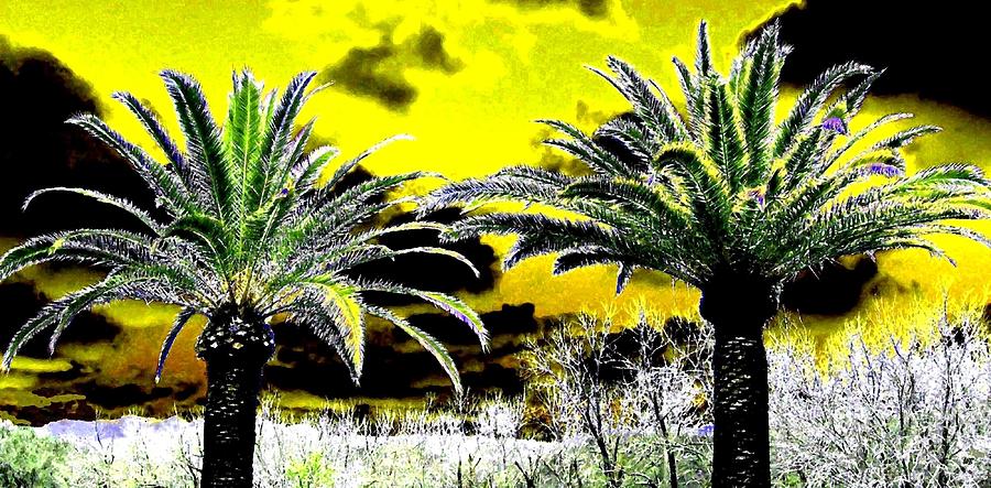 Abstract Digital Art - Palm Paradise   by Will Borden