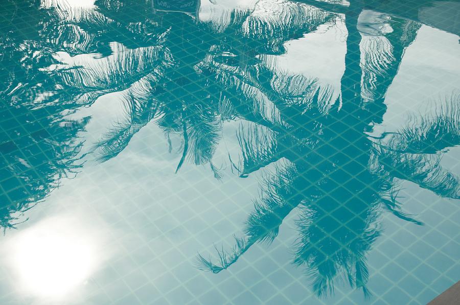 Space Photograph - Palm reflex in a  pool by Tamara Sushko