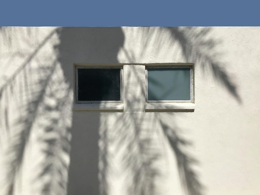 Palm Shadow on Two Windows Photograph by Stan  Magnan