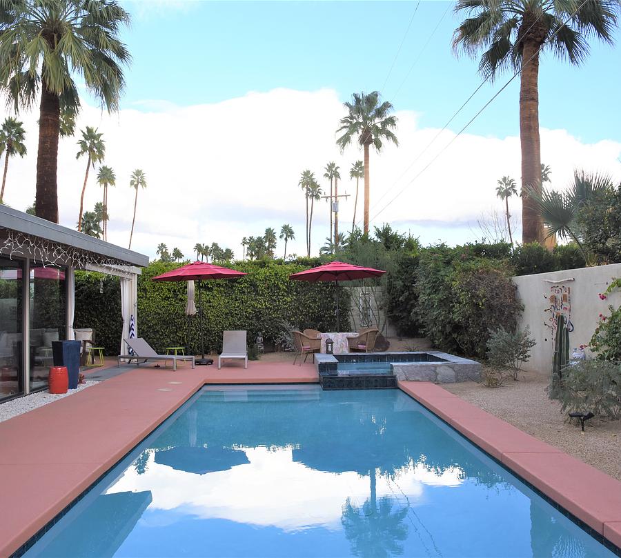 Palm Springs Backyard Photograph by Lisa Dunn