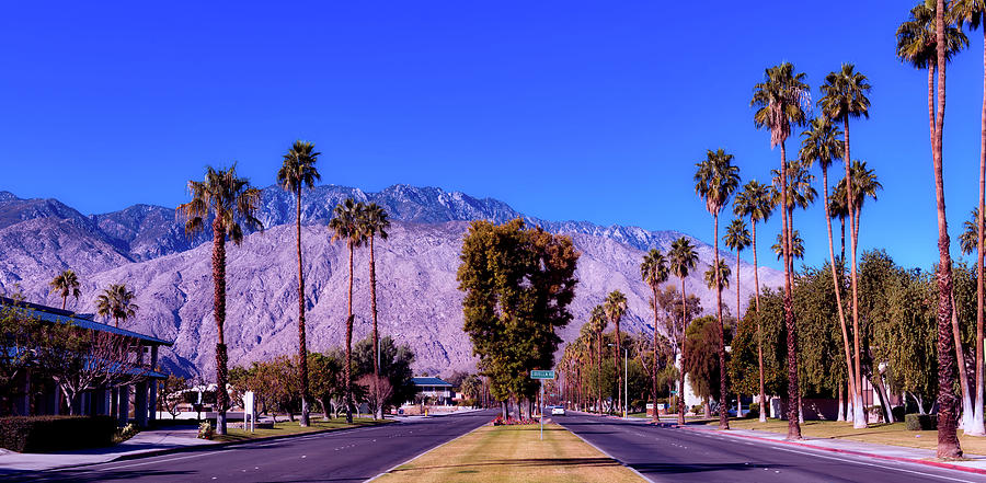 Palm Springs California Photograph by Mountain Dreams