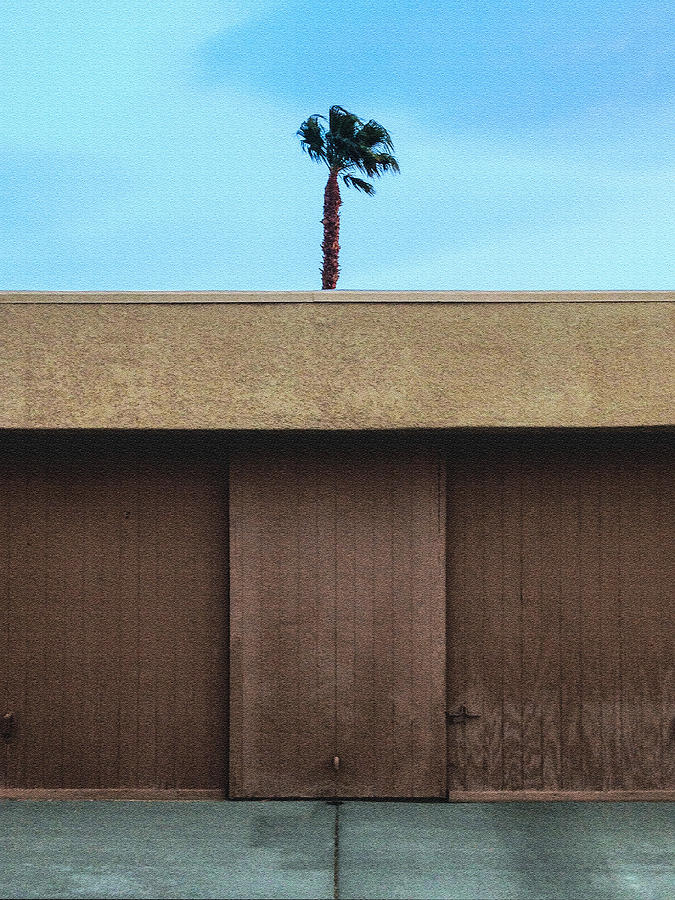 Palm Springs Duplex Garage Photograph by Stan  Magnan