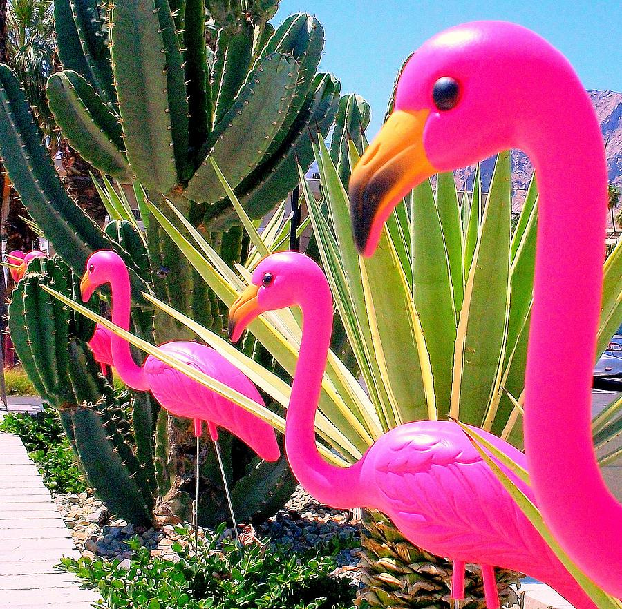 Flamingo Photograph - Palm Springs Flamingos 7 by Randall Weidner