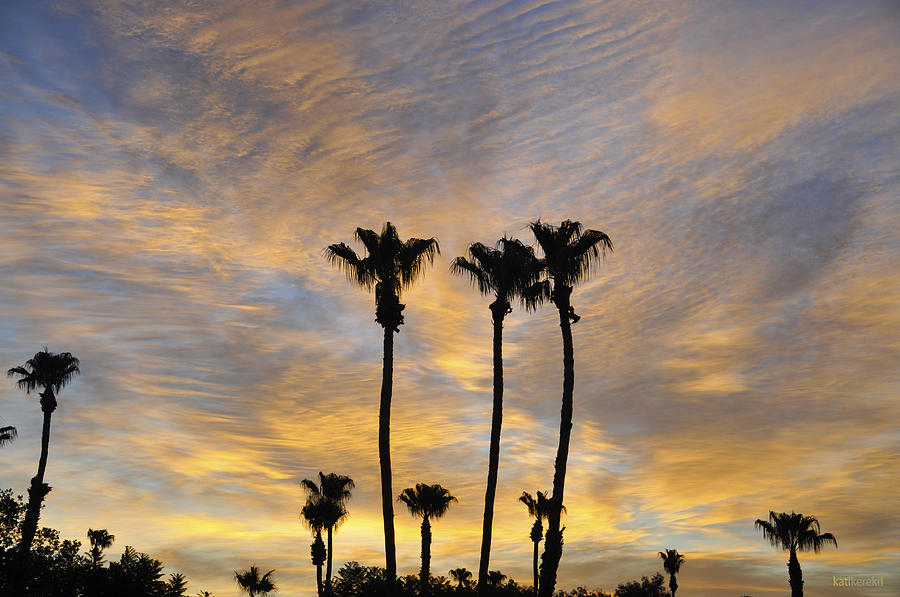 Palm Springs Photograph - Palm Springs  by Kati Kereki