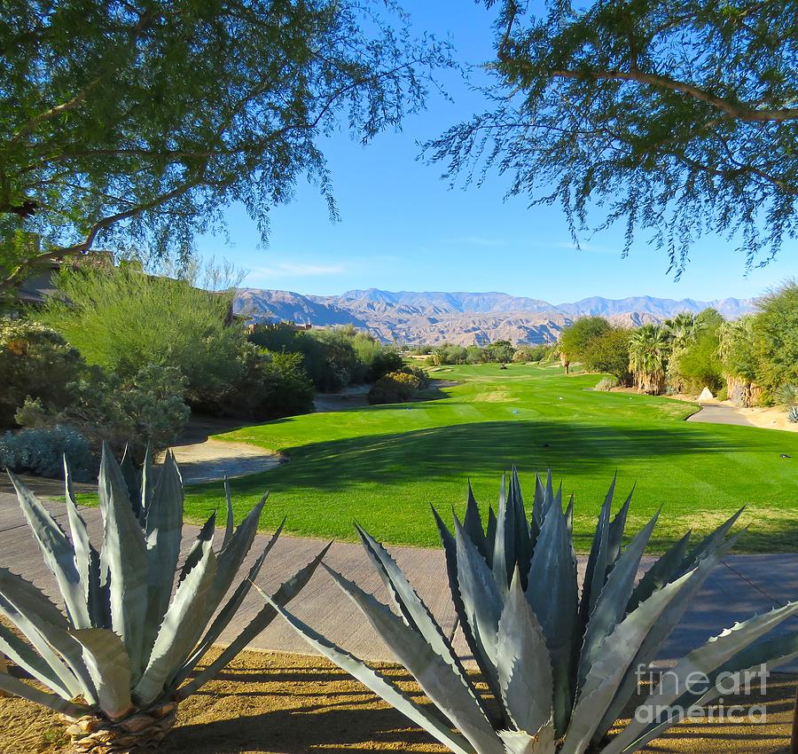 Palm Springs Long View Photograph by WD Benjamin - Fine Art America