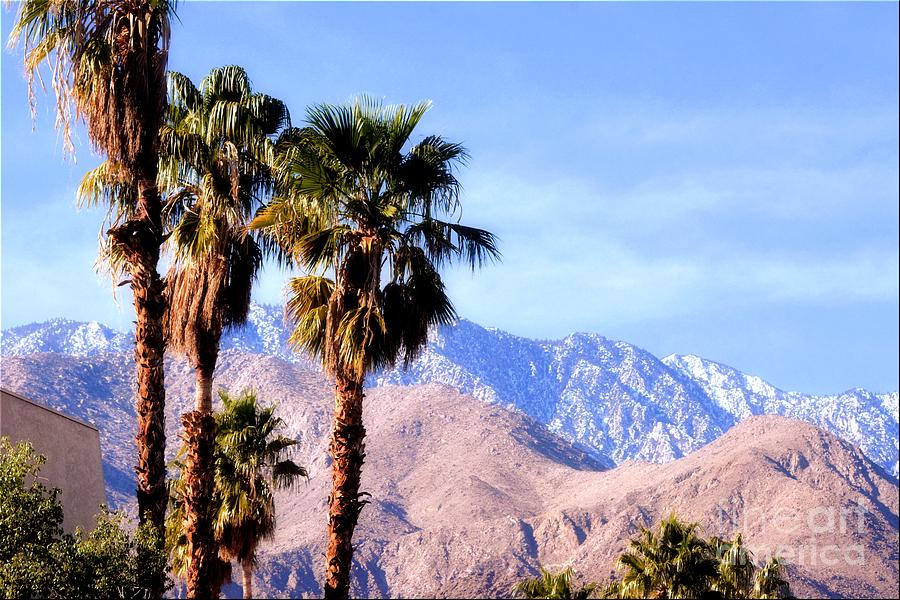 Palm Springs Photograph by Luv Photography - Fine Art America