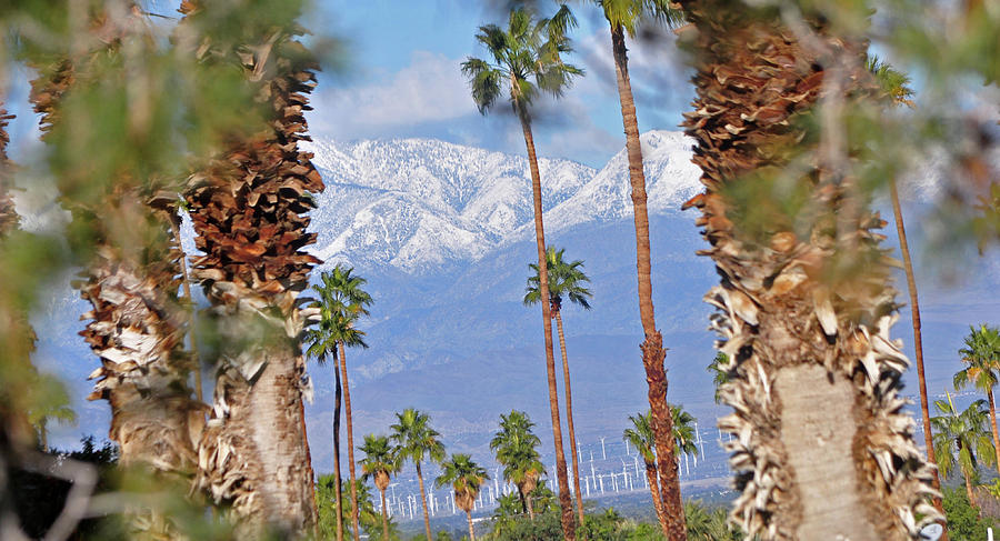 Palm Springs Mt. Range Plus Solar Windmills I 10 Photograph by Jay Milo