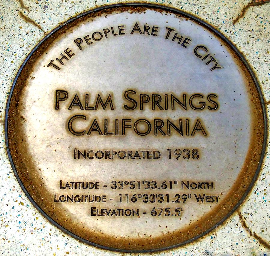 Palm Springs Seal Photograph by Randall Weidner