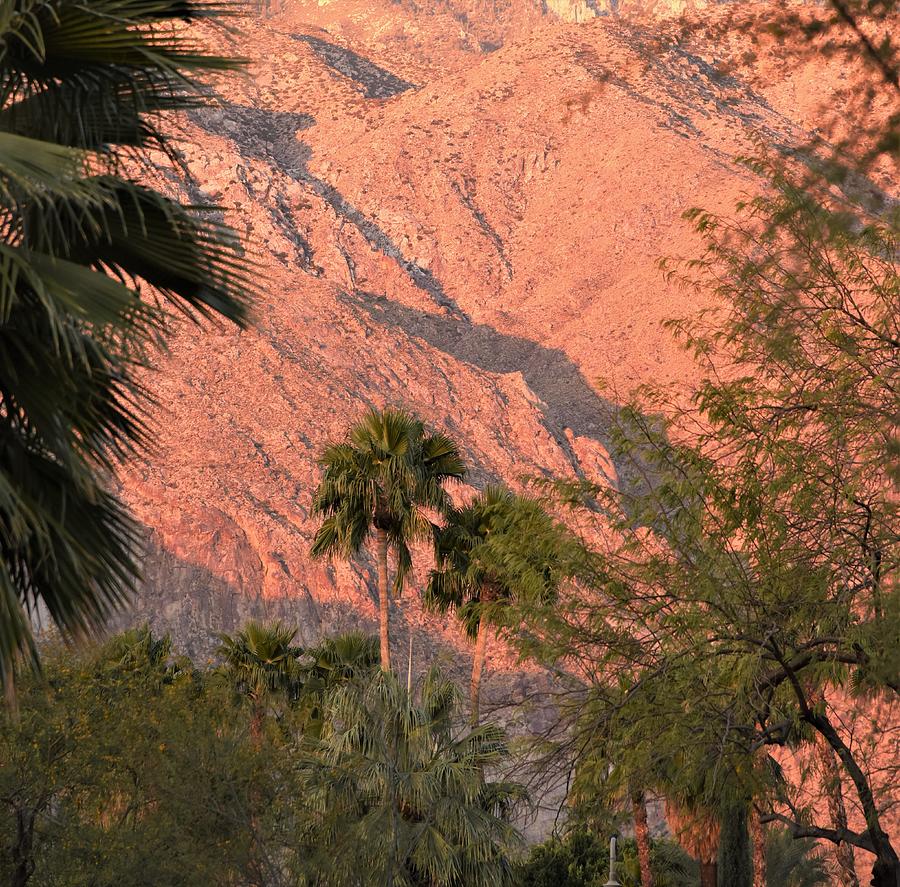 Palm Springs Sunrise Photograph by Lisa Dunn