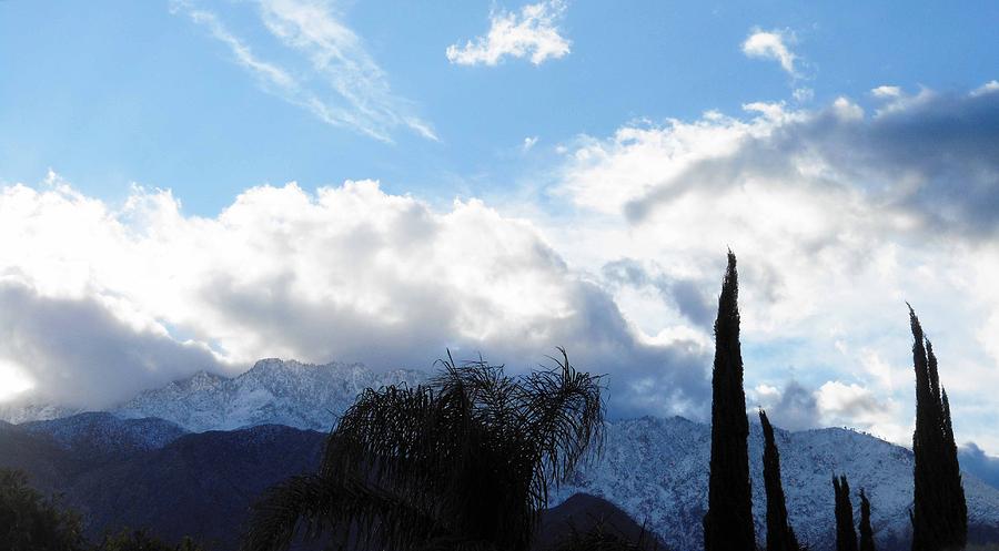 Palm Springs Winter 1 Photograph by Ron Kandt