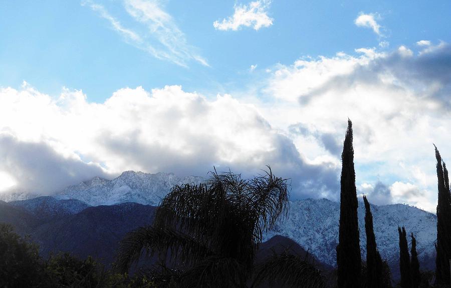 Palm Springs Winter 2 Photograph by Ron Kandt