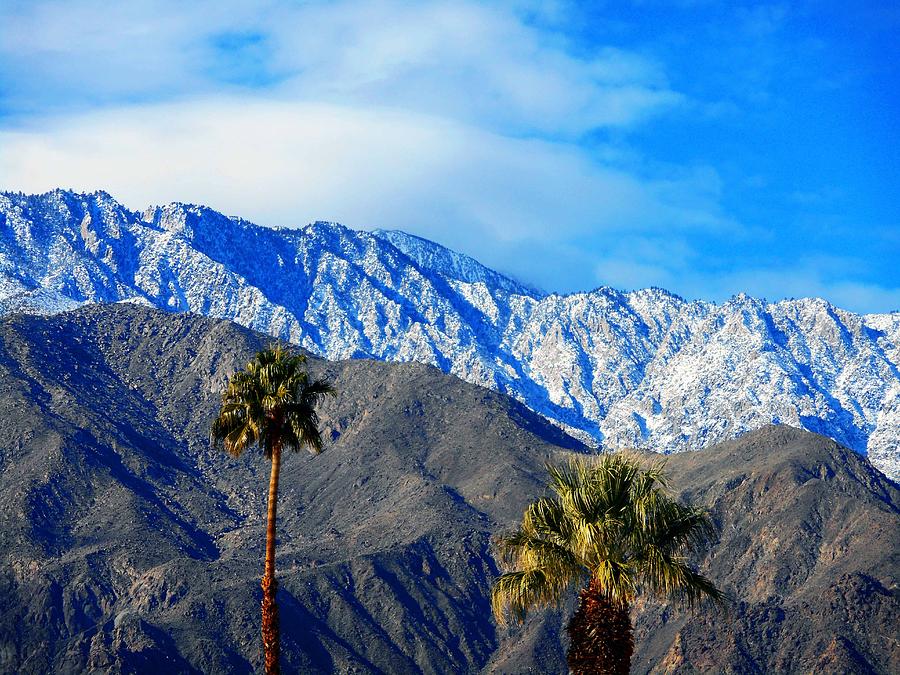 Palm Springs Winter 3 Photograph by Ron Kandt