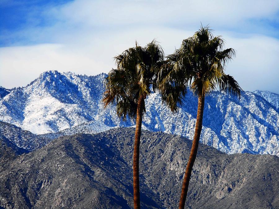Palm Springs Winter 4 Photograph by Ron Kandt
