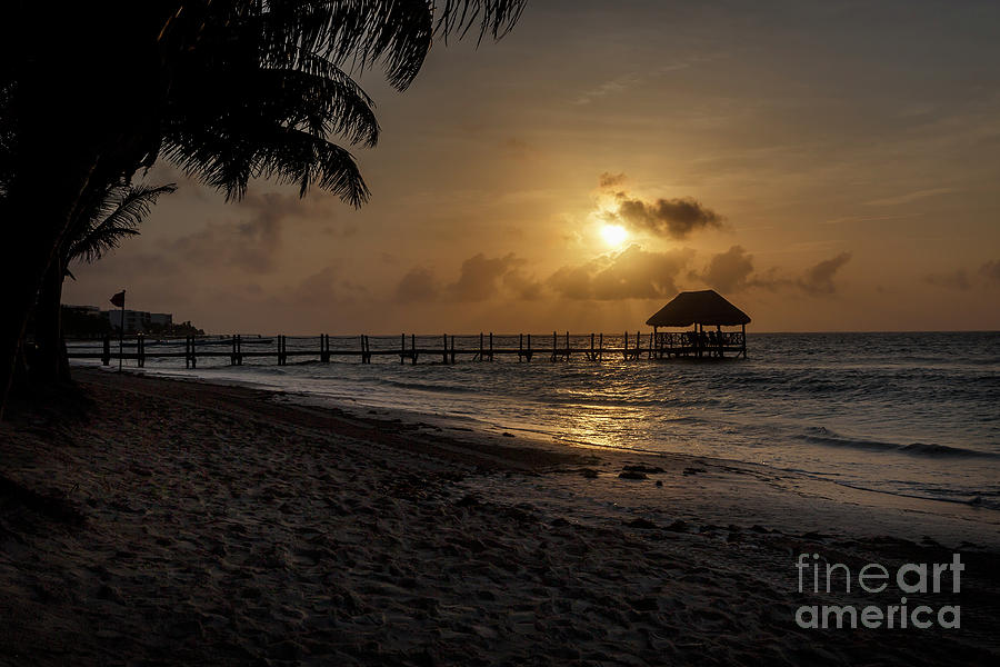 Palm Sunrise Photograph by Dennis Hedberg