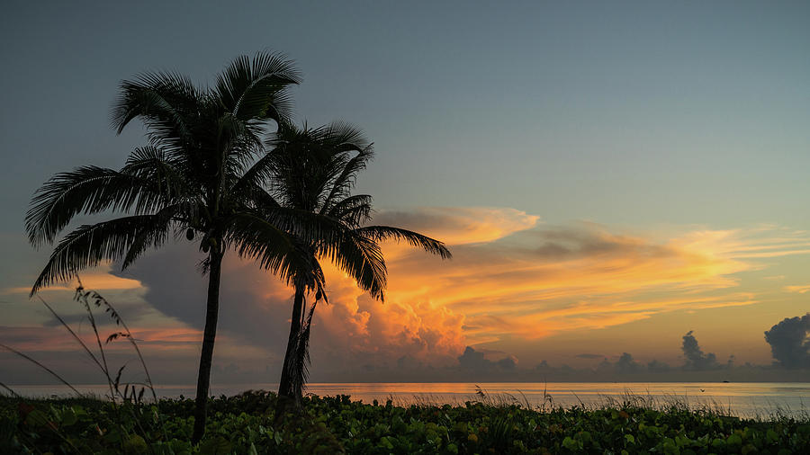 Palm Thunderstorm Sunrise Delray Beach Florida Photograph by Lawrence S Richardson Jr