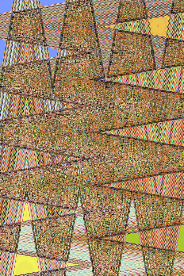 Palm Tree Abstract #5285w1 Digital Art by Tom Janca