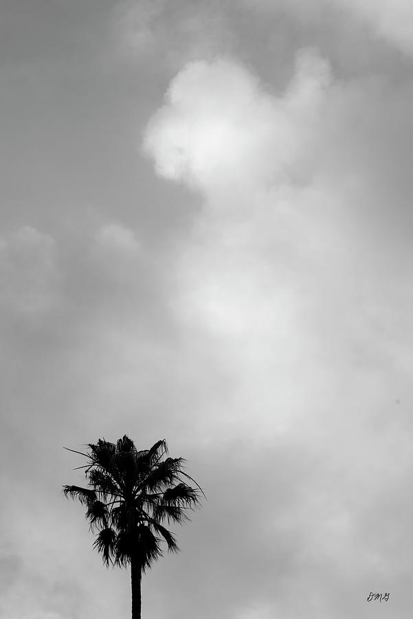 Palm Tree and Clouds Photograph by David Gordon