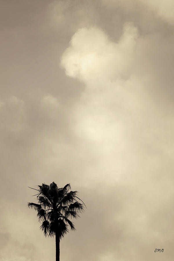 Palm Tree and Clouds Toned Photograph by David Gordon