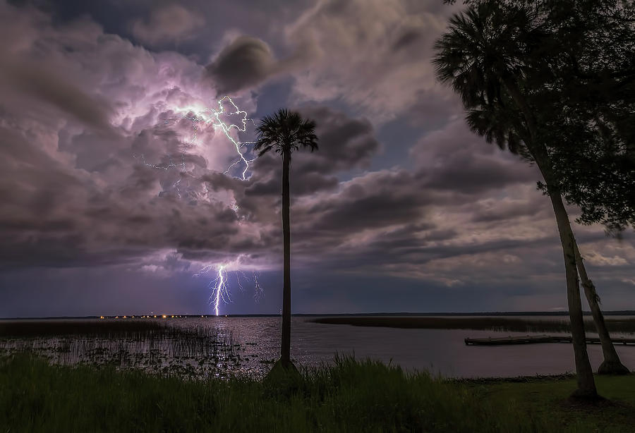 Palm Tree And Lightning Photograph by Justin Battles
