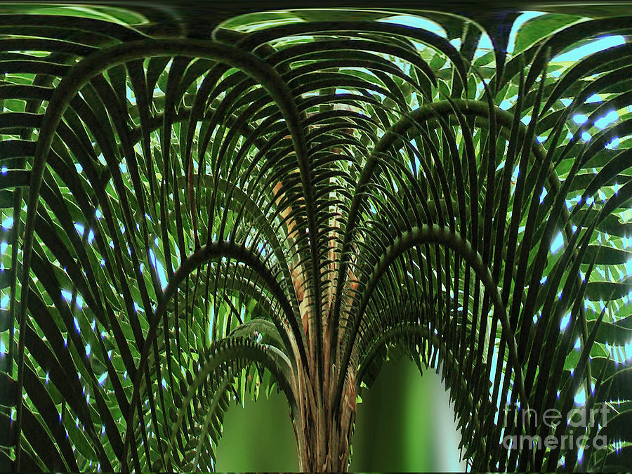 Palm Tree Fractal Nature Art Photograph by Carol F Austin