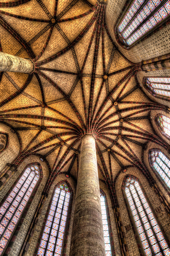 Palm Tree ceiling in the Church of the Jacobins Photograph by Semmick Photo
