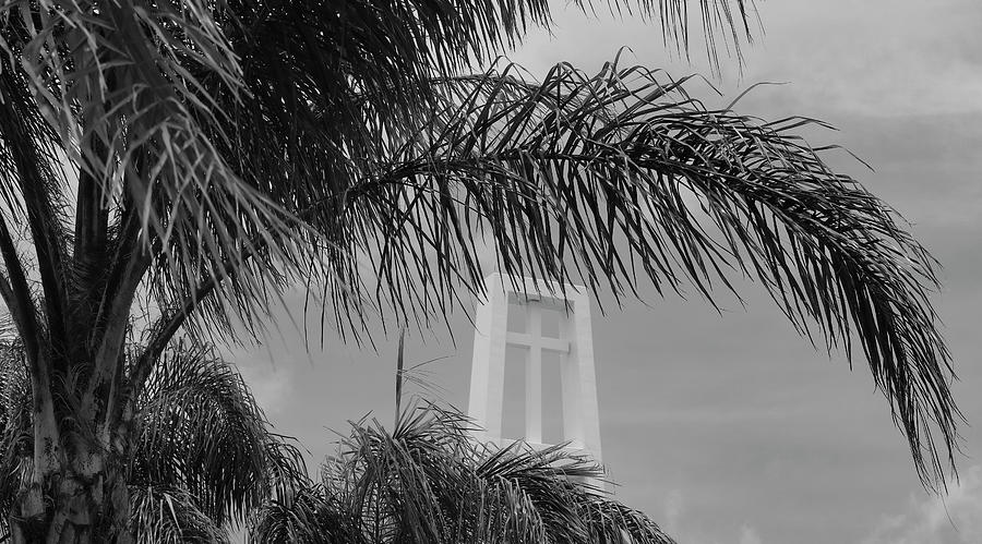 Palm tree Cross Photograph by Robert Wilder Jr