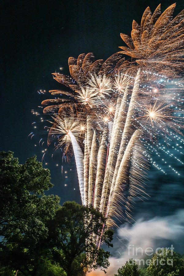 Palm Tree Fireworks Photograph by Joann Long