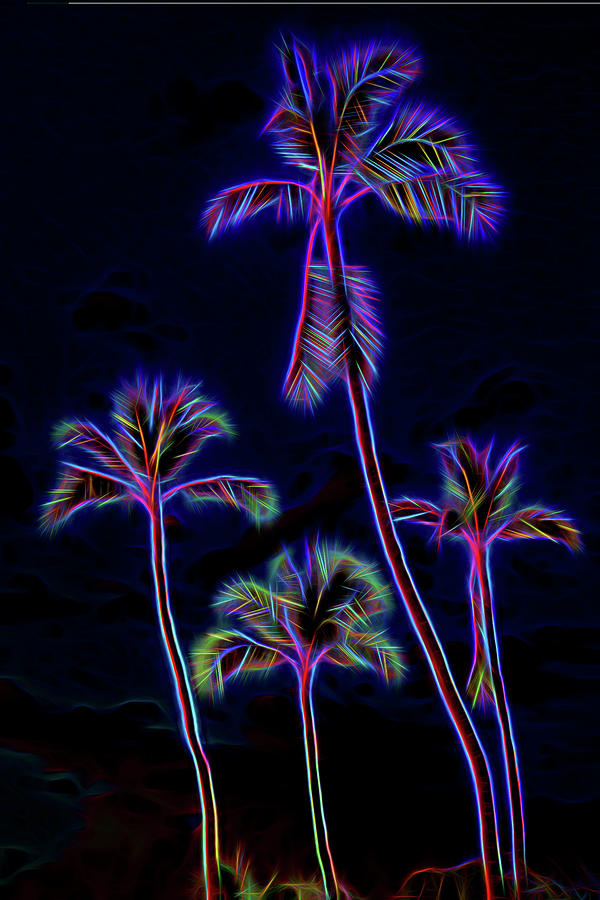 Palm Tree Graphic Photograph by Kelley King