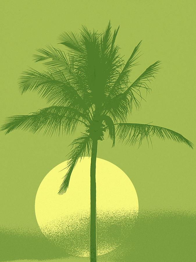 Palm Tree Green Sun Setting Digital Art by Philip Okoro