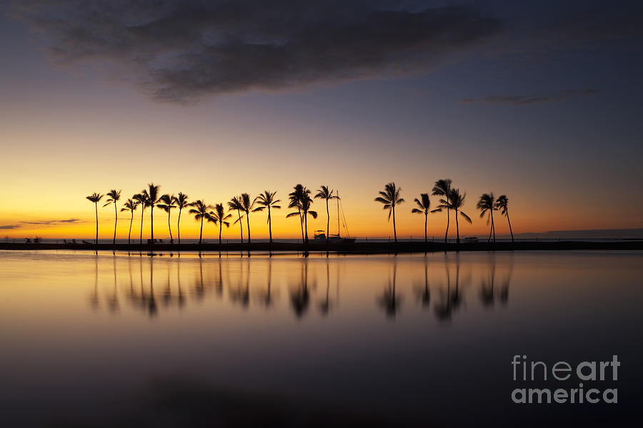 Glow Photograph - Palm Tree Grove at Kuualii Hawaiian Fishpond by Charmian Vistaunet Glow Photograph - Palm Tree Grove at Kuualii Hawaiian Fishpond by Charmian Vistaunet