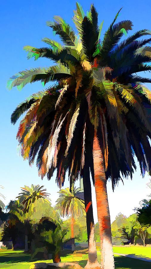 Palm Tree In Colors 5 by Kristalin Davis Photograph by Kristalin Davis