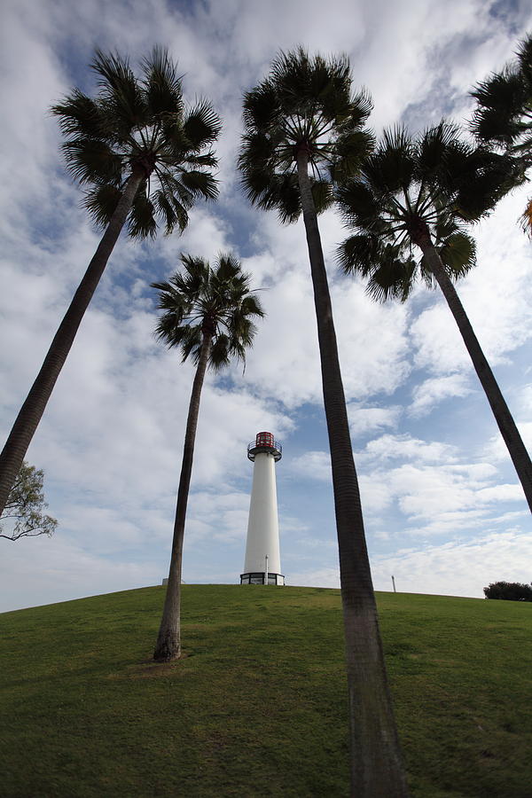 Palm Tree Lighthouse Photograph by Static Stills - Pixels