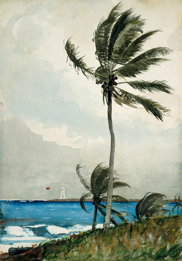 Palm Tree Nassau, from 1898 Painting by Winslow Homer Palm Tree Nassau, from 1898 Painting by Winslow Homer