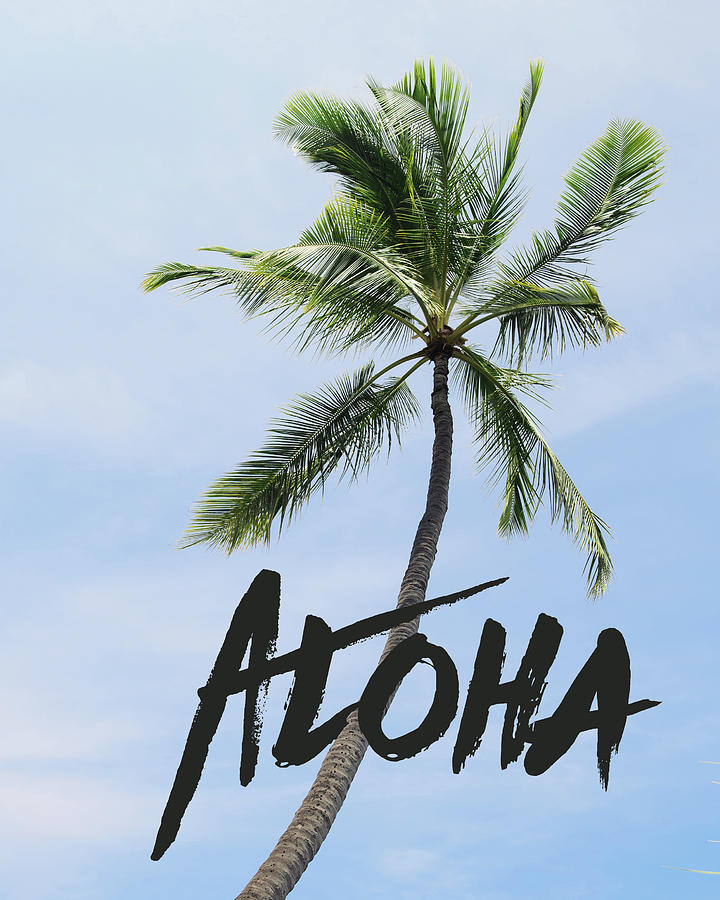 Typography Photograph - Palm tree by Nastasia Cook