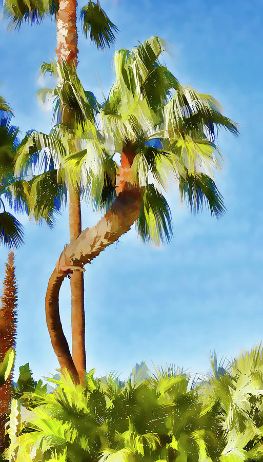 Palm Tree Needs A Chiropractor Painterly I Digital Art by Linda Brody