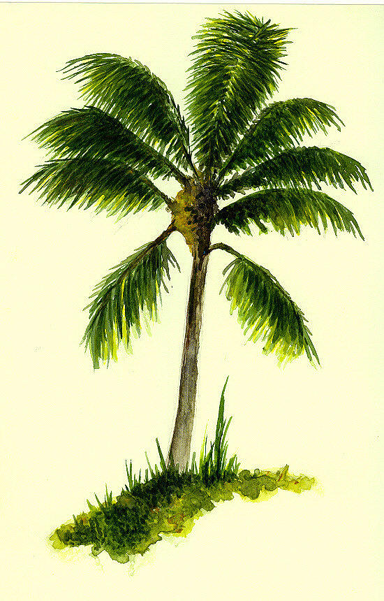 Palm Tree Number 1 Painting by Michael Vigliotti - Pixels