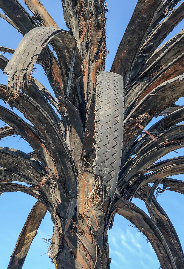 Palm Tree of Tires by Kent Sorensen Palm Tree of Tires by Kent Sorensen