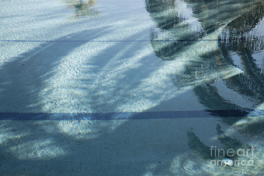 Palm Tree Shadow and Reflection in Pool Photograph by William Kuta