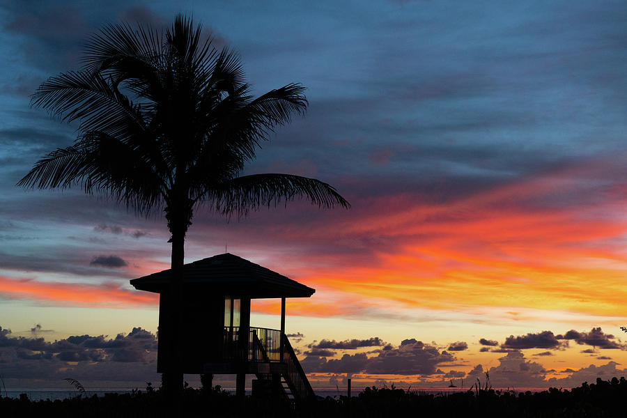 Palm Tree Sunrise Delray Beach Florida Photograph by Lawrence S Richardson Jr
