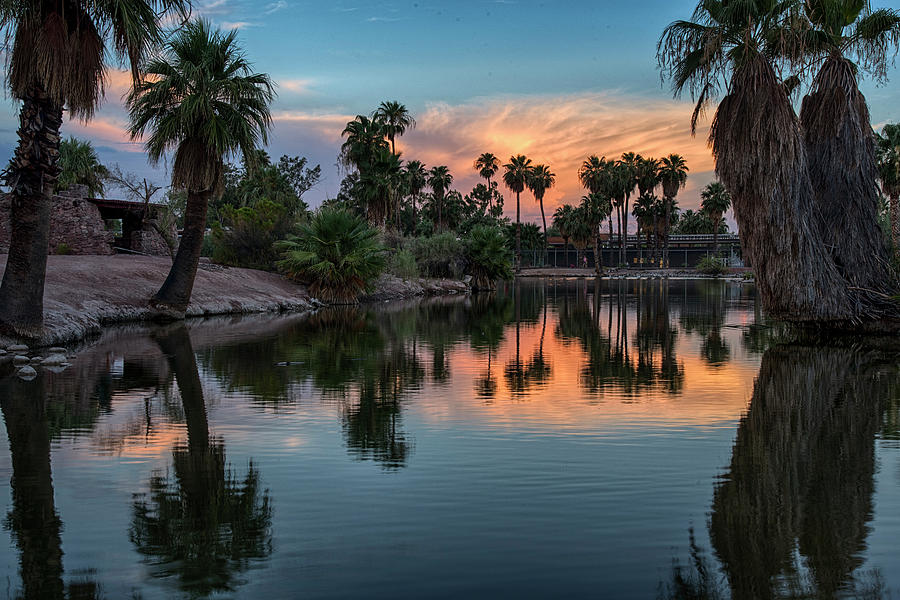 Palm Tree Sunset reflections Photograph by Dave Dilli
