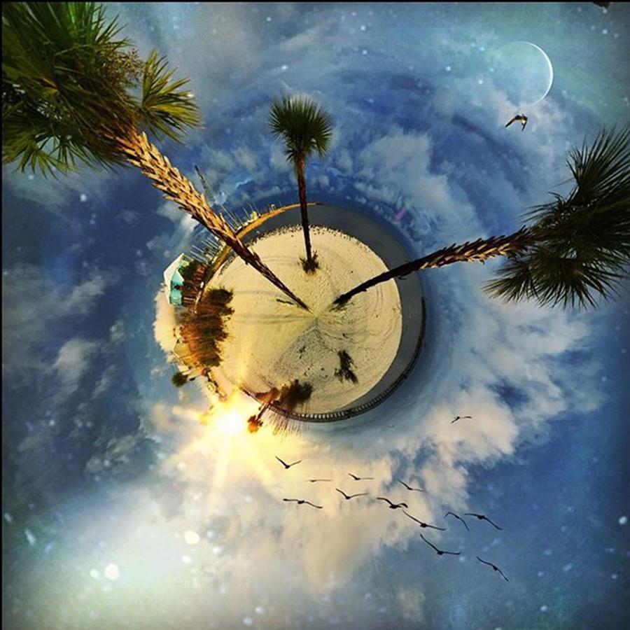 Palm Tree Tiny World #circularapp Photograph by Joan McCool