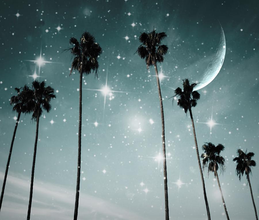 Palm Trees .... Starry Night Photograph by Marianna Mills