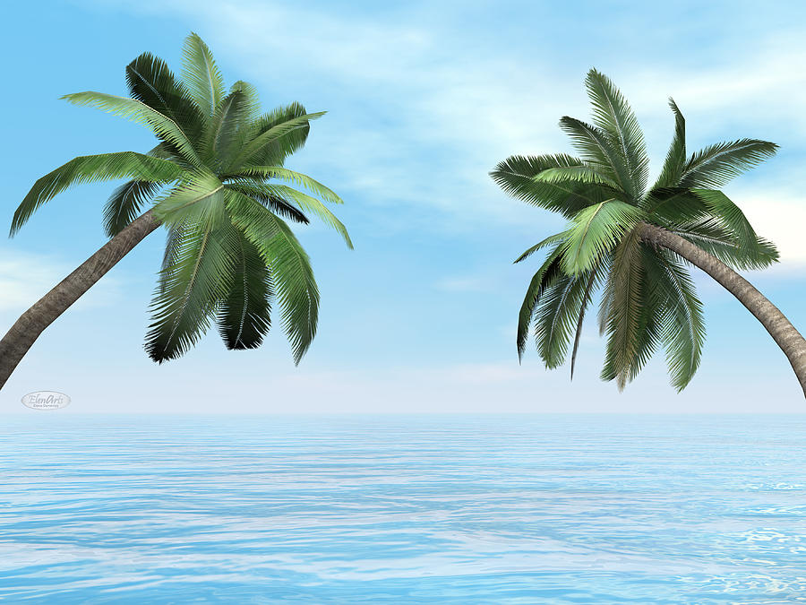 Palm trees - 3D render Digital Art by Elenarts - Elena Duvernay Digital Art