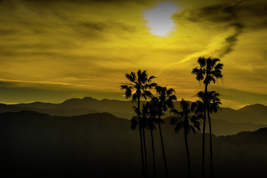 Palm Trees at Sunset with Mountains in California Photograph by Randall Nyhof