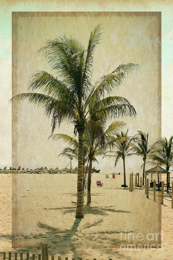 Summer Photograph - Palm Trees at the Point by Colleen Kammerer