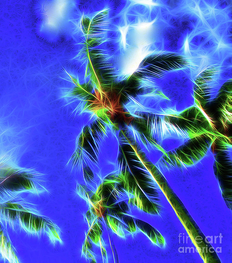 Palm Trees By Starlight Photograph