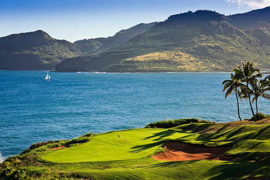 Palm Trees In A Golf Course, Kauai Photograph by Panoramic Images