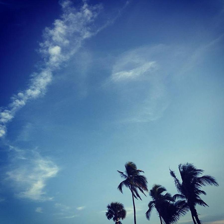 Miami Photograph - Palm Trees #juansilvaphotos by Juan Silva